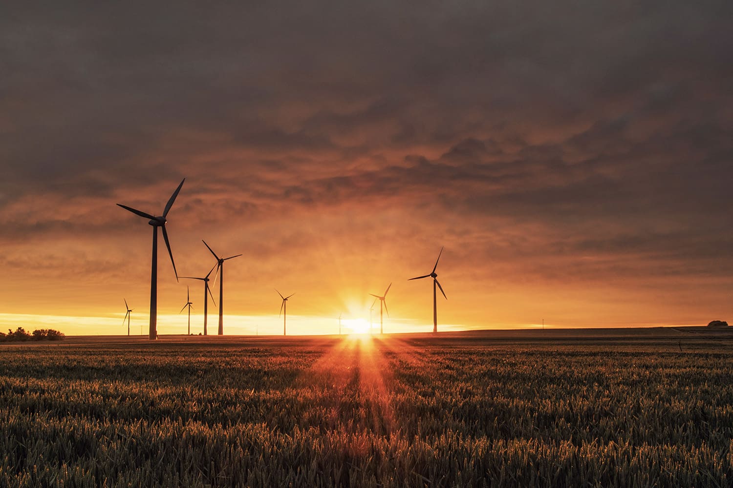 Environmental Compliance Consultant